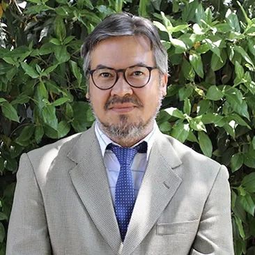 Pablo Isla Representante USM (titular)