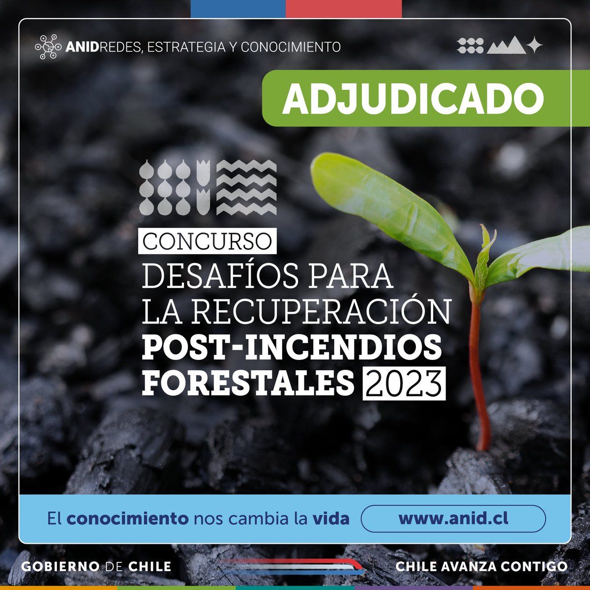Resultados de los desafíos para la recuperación de incendios forestales